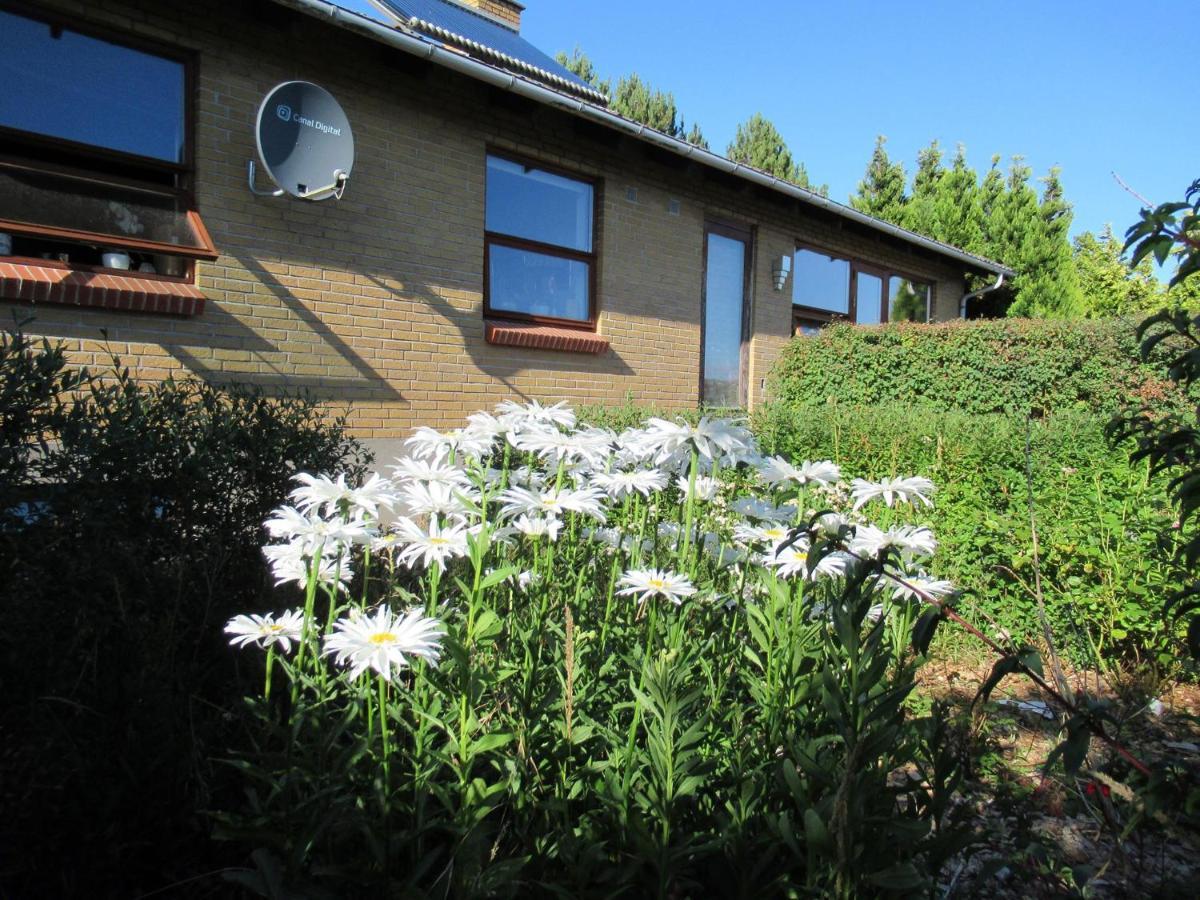 Aebelo-Guidens B&B Bogense Zewnętrze zdjęcie